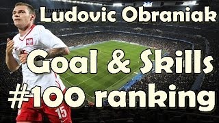 Ludovic ObraniakBest Goals amp Skills2013 [upl. by Noxin73]