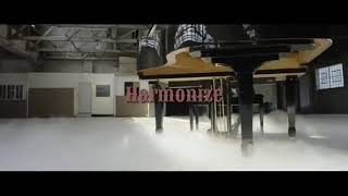 Harmonize  Wapo official video [upl. by Haorbed]