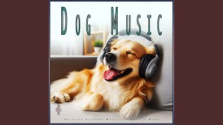 Music to Help My Dog Sleep [upl. by Epuladaug]