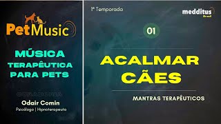 Música para Acalmar Cães  Mantra Terapêutico [upl. by Timrek]