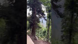 First Solo Backpacking Trip HitchHiking Pakistan SoloTour Kashmir Love Track Arangkel Doli Cable Car [upl. by Ennaeirrac]