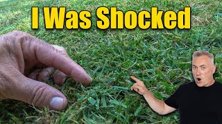 Summer Lawn Scalping SHOCKING Surprise [upl. by Elleon]