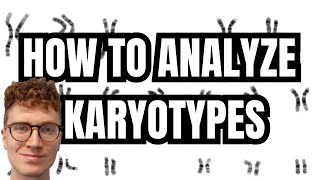 KARYOTYPE ANALYSIS [upl. by Leirua381]