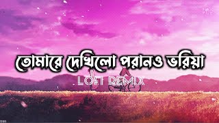 Tomare Dekhilo Lofi Remix  তোমারে দেখিলো পরানও ভরিয়া  Habib  Lofis Book Bangla [upl. by Bradshaw]