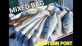 MIXED BAG  WESTERN PORT  1ST TRIP OF THE SEASON [upl. by Wolbrom]