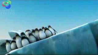 Pinguine auf einer Eisscholle  halten zusammen [upl. by Basilio945]