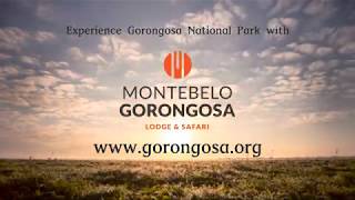 Montebelo Gorongosa Promo [upl. by Hayikat45]