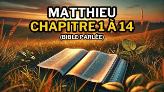 Évangile Selon Matthieu 1 à 14  Découvrez le Début du Ministère de Jésus Bible parlée [upl. by Olia]