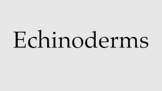 How to Pronounce Echinoderms [upl. by Rehpoitsirhc]