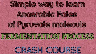 Fate of pyruvic acid alcoholic and lactic acid fermentation anaerobic fate [upl. by Apfel21]