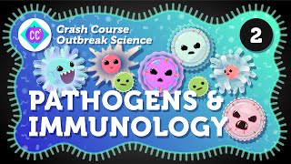 How Do Outbreaks Start Pathogens and Immunology Crash Course Outbreak Science 2 [upl. by Nerland688]