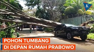 Penampakan Fortuner Ringsek Tertimpa Pohon Tumbang di Depan Rumah Prabowo [upl. by Yttocs68]