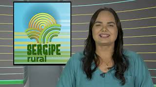 SERGIPE RURAL  PROGRAMA 460 [upl. by Bbor626]