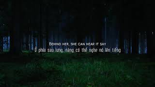 Vietsub  Lyrics Lily  Alan Walker K391 Emelie Hollow [upl. by Anuahs]