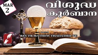 HOLY MASS LIVE  6 AM 02 MAR 2024FR MATHEW THADATHIL VCMALAYALAM QURBANATODAY MASSGOODNESS TV [upl. by Wolk327]