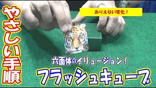 フラッシュキューブ｜プロの手順｜やさしい演じ方の解説は概要欄をご覧ください。2022年テンヨー [upl. by Khichabia891]