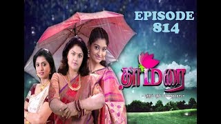 THAMARAI EPISODE 814  1772017 [upl. by Arand]