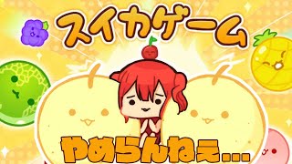 【スイカゲーム】やめらんねぇ～～～【個人勢Vtuber】 [upl. by Borchers]