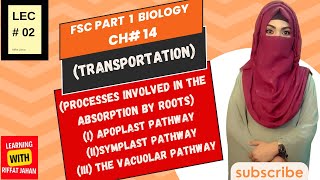 Ch14  Transportation  Lec 02  PROCESSES INVOLVED IN THE ABSORPTION BY ROOTSFSc Biology part 1 [upl. by Hilary]