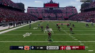 CFB25 H2H Styles Jr kick return TD against Auburn [upl. by Coppinger590]