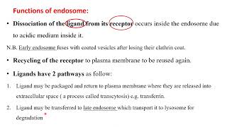 endosomes and proteasomes [upl. by Nahsad]