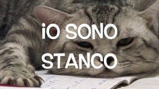 Italian Lesson n10  stati danimo e fisici  feelings [upl. by Gabler]