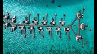 Angsana Velavaru Maldives Drone aerial 4K [upl. by Analah]