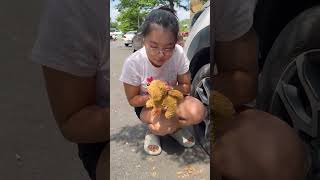 LNS  Giải cứu chó con dưới gầm ôtô  Rescue puppies from under car wheels shorts [upl. by Alpert]