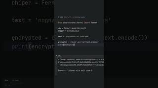 шифрование python [upl. by Askwith79]
