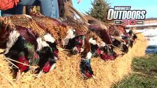 MidWest Outdoors 1596  Pheasant Hunting in Huron South Dakota [upl. by Sup]