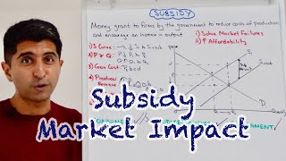 Y1 18 Subsidy  Full Market Impact [upl. by Leahcam204]