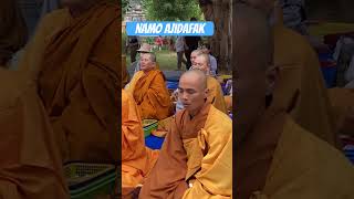 Vietnam Buddhist monk chanting in mahabodhitemple [upl. by Cato]