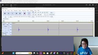 Adobe Animate audio Desync bug existed for 16 years [upl. by Eimmis503]