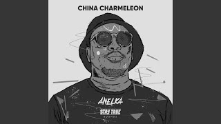 Lo Mfana China Charmeleon The Animal Remix [upl. by Hooper]