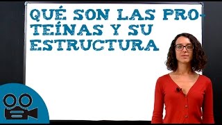 La estructura de las proteínas y su definición [upl. by Yrral]