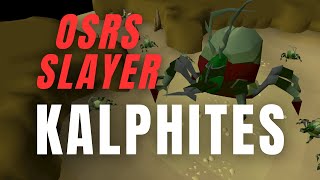 OSRS Slayer  KALPHITES  Get the FASTEST easy slayer XP in game [upl. by Seessel381]