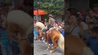 Hermoso Caballo fino bailador [upl. by Lamaj]