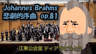 Johannes Brahms 悲劇的序曲 （ 独：Tragische Ouvertüre） op81 [upl. by Itnava]