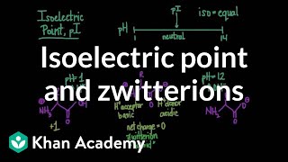 Isoelectric point and zwitterions  Chemical processes  MCAT  Khan Academy [upl. by Eanahs689]