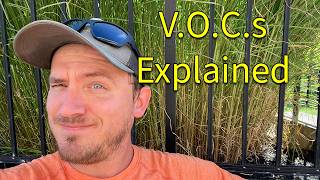 What Are VOCs and How Do They Impact Your Drinking Water [upl. by Scoter]