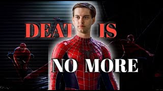 Have you seen my webs Spiderman edit  Blessed Mane  Death is no more [upl. by Naltiac919]