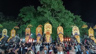 കാവിലക്കാട് പൂരം 2024 ഫുൾ വീഡിയോlive🎥🔳kavilakkad pooram full video [upl. by Anauj]