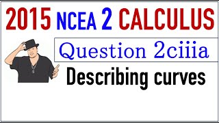 2015 NCEA 2 Calculus Exam Q2ciiia [upl. by Dearden]