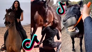 The Best HORSE TikTok Compilation 228 [upl. by Xylia201]