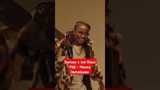 Sensey Honey Damoiseau avec Joe Dwet Filé france joédwetfilétype sensey afro interview [upl. by Shute]