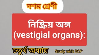 নিষ্ক্রিয় অঙ্গ। vestigial organsমাধ্যমিক জীবন বিজ্ঞান [upl. by Nosreh350]