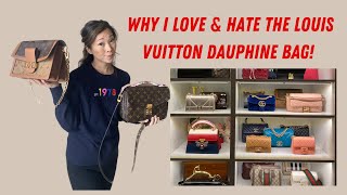 LOUIS VUITTON DAUPHINE MM BAG COMPARISON WITH POCHETTE METIS  WHICH BAG IS BETTER [upl. by Lucy]