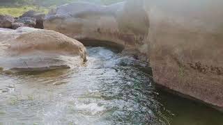 Pedernales Falls State Park A Hikers Paradise [upl. by Delsman]