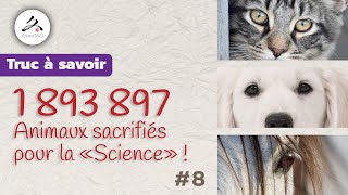 8  Lutilisation des animaux au nom de la quotSciencequot pose de nombreuses questions [upl. by Nuhsal]