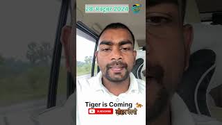 Tiger is coming 🐅 johar bermo jairammahto bermo jharkhand jairammahatolive rowaninews [upl. by Trueman]